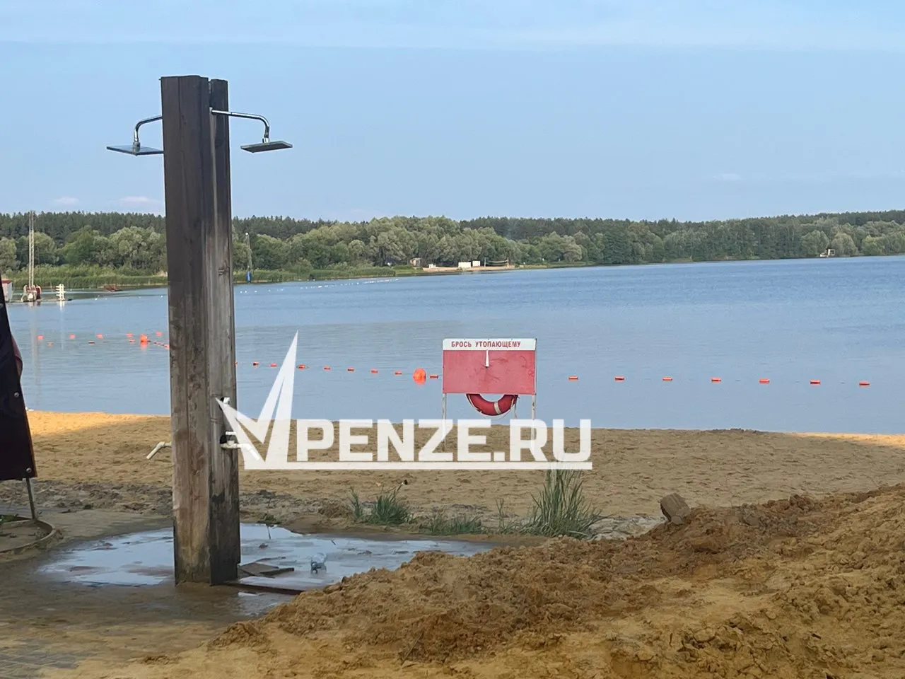 С сентября 2025 года вход на пляж с животными будет запрещен