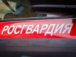 Пензенские сотрудники Росгвардии помогли потушить автомобиль