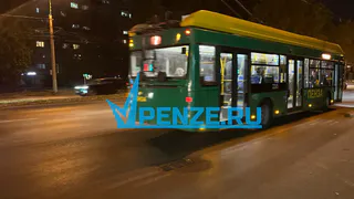 В Пензе кондуктор 7-го троллейбуса нахамил инвалиду-колясочнику в ответ на просьбу поднять пандус