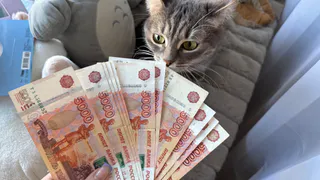 С 1 января 2026 года будет проведен перерасчет пенсии для более двух тысяч многодетных мам Пензенской области