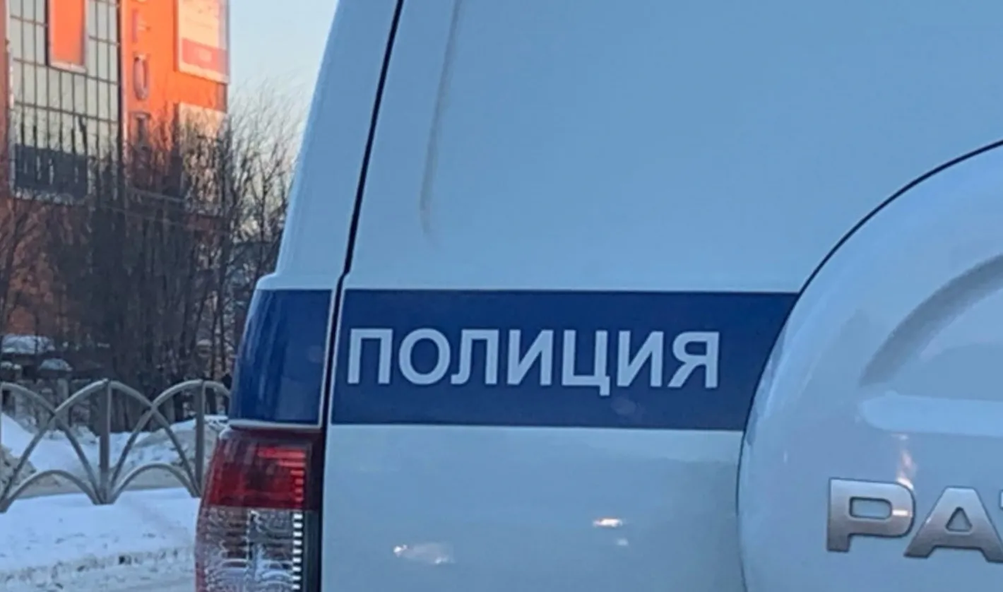 В Нижнем Ломове встреча старых товарищей закончилась больницей