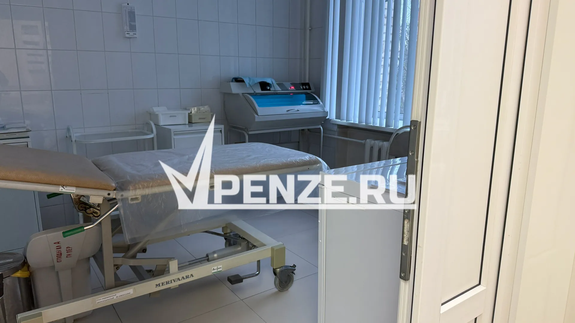 Пензенцы пожаловались на атакующих комаров в Детской поликлинике на Севере