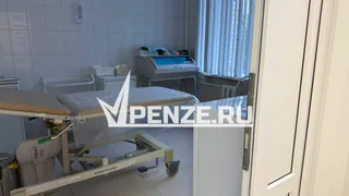 Пензенцы пожаловались на атакующих комаров в Детской поликлинике на Севере