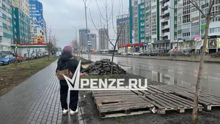 Отдельные категории пензенцев получат надбавки к пенсии в мае