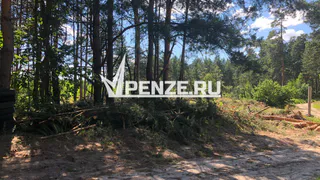 За неделю к медикам обратились 8 жителей области из-за укусов клещей