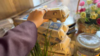 Лотки от яиц в ноябре спускаю в погреб — и всю зиму слезы счастья утираю: нужны не для хранения урожая — эффект бесценен