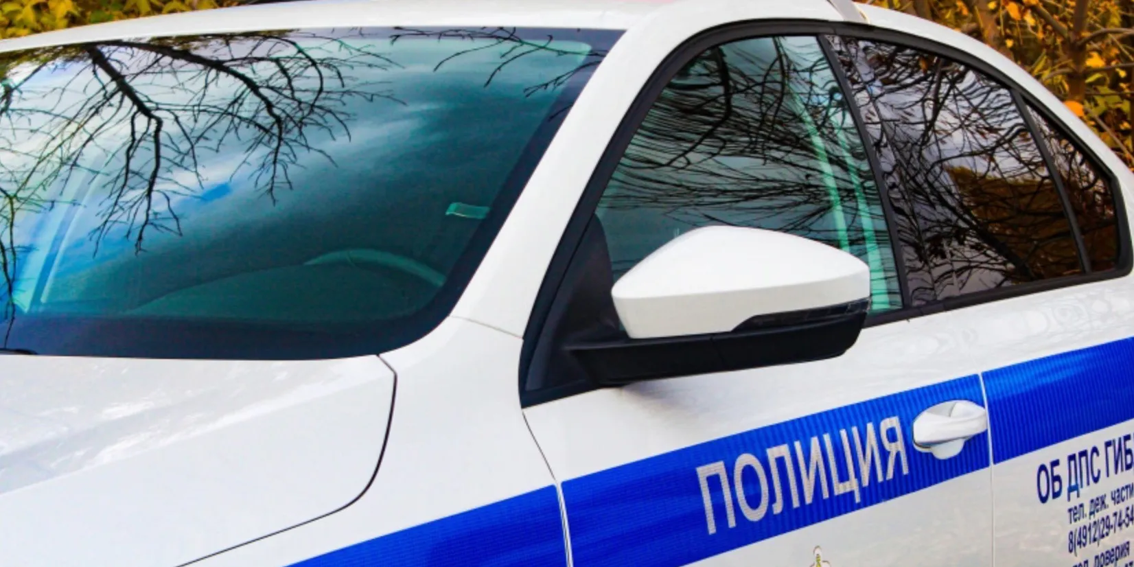 В Пензе мужчина на деньги незнакомца заказал себе пневматический пистолет