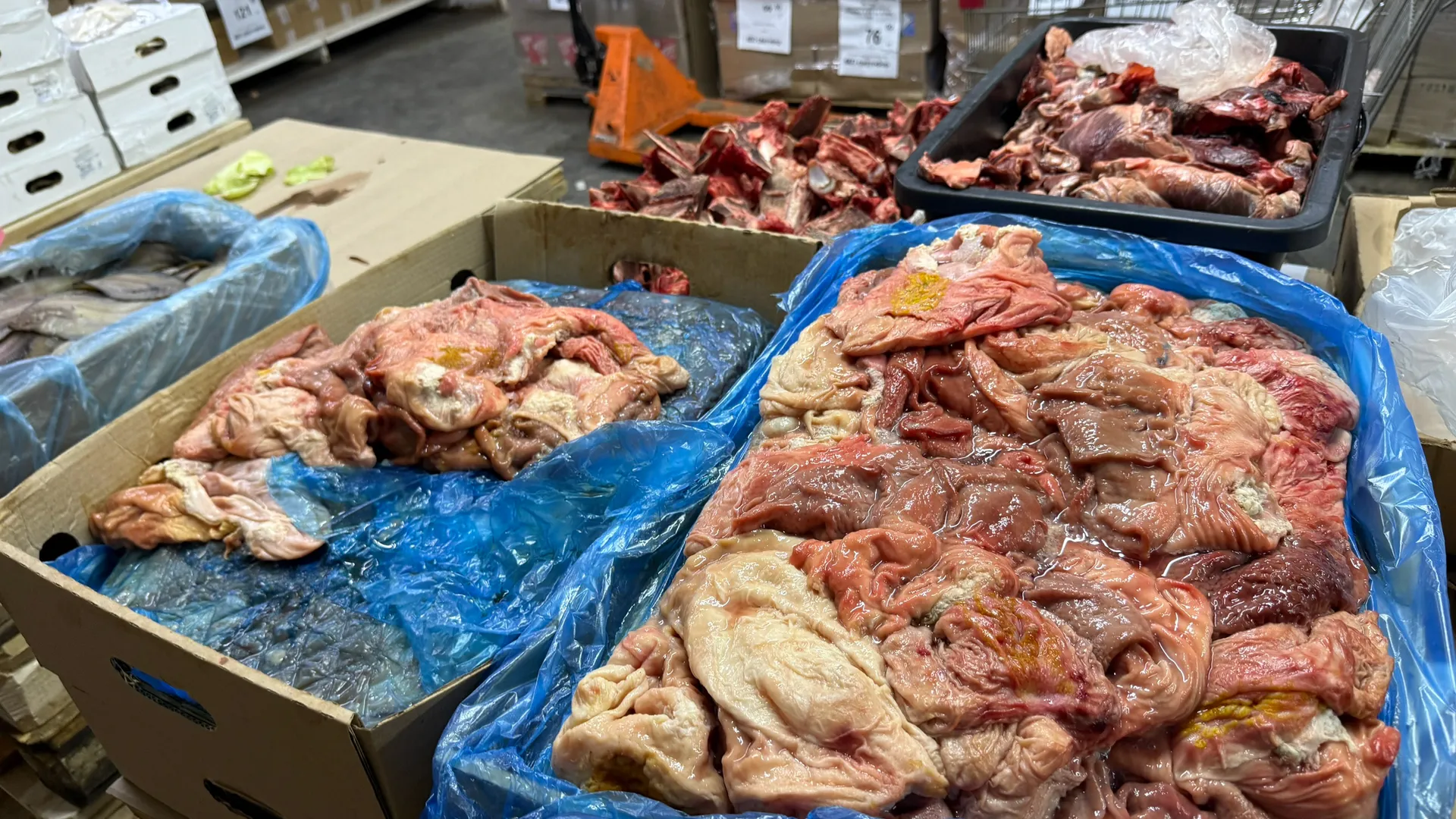 Все осенью массово переходят на это мясо: в разы полезнее и дешевле курицы - продлевает жизнь