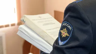 Лунинском районе раскрыли серию краж печных деталей спустя восемь лет благодаря ДНК