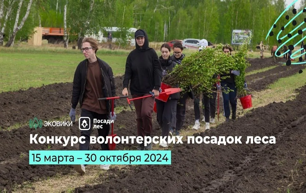 Пензенцев приглашают присоединиться к конкурсу по посадке деревьев и получить денежный приз